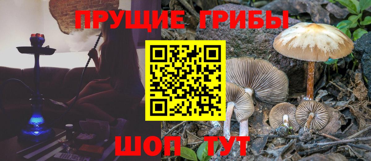 Псилоцибиновые грибы GOLDEN TEACHER  Псилоцибиновые грибы прущие грибы  Вход с VPN  Ишим 